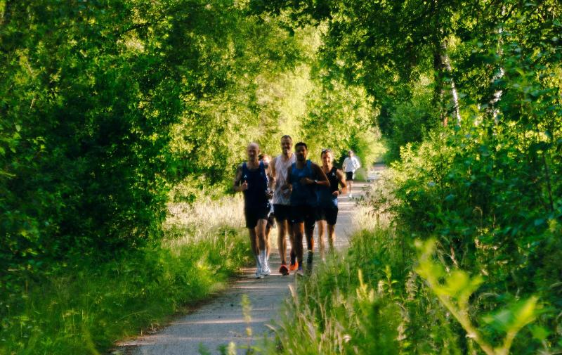 Piano Biënnale als inspiratie voor Beethoven 5 km