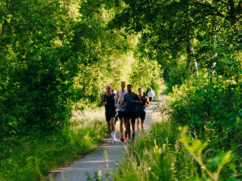 Beethoven 5 km
